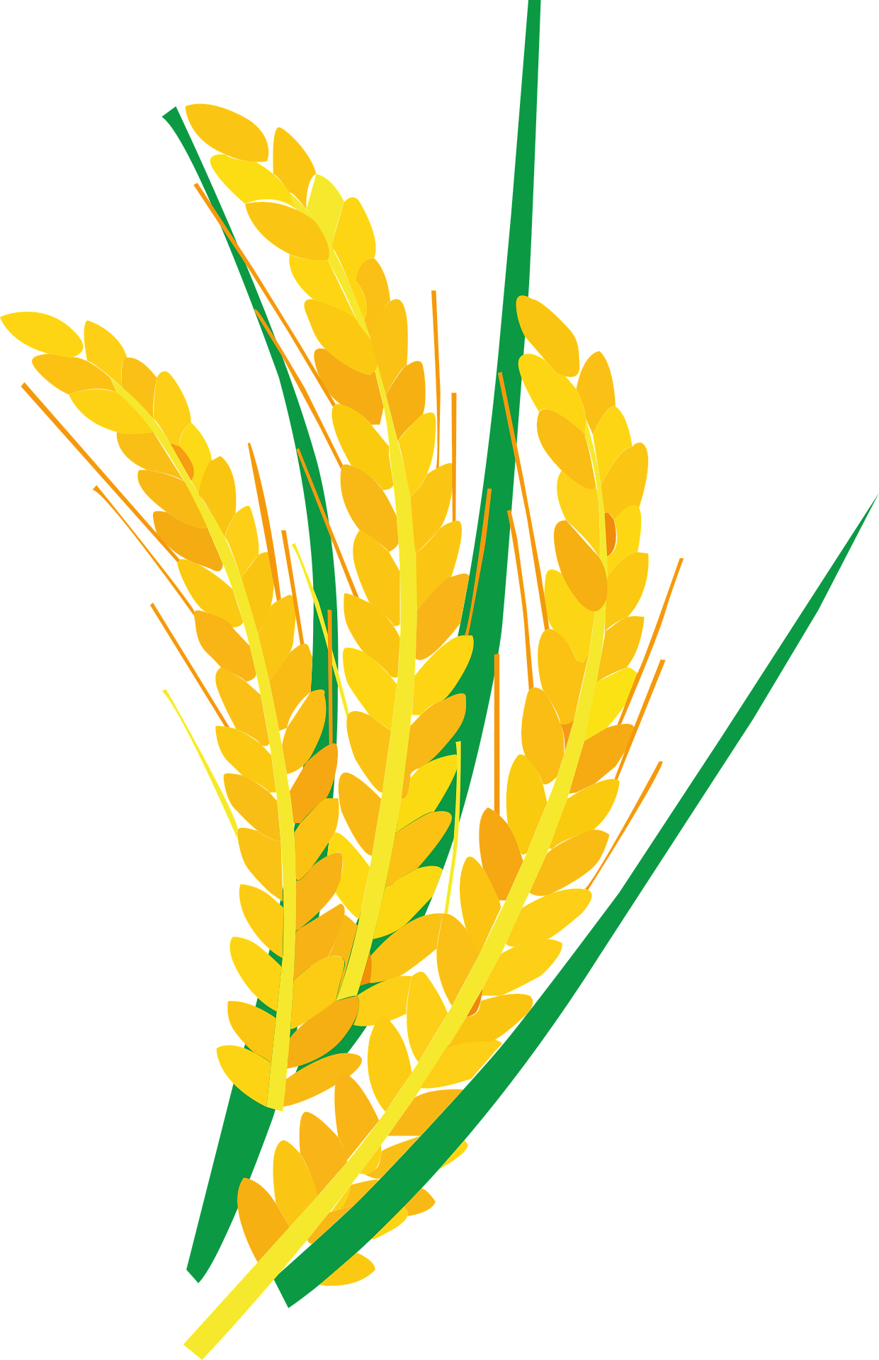 wheat_4.png